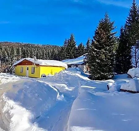 Mamut Harrachov