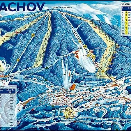 Mamut Harrachov