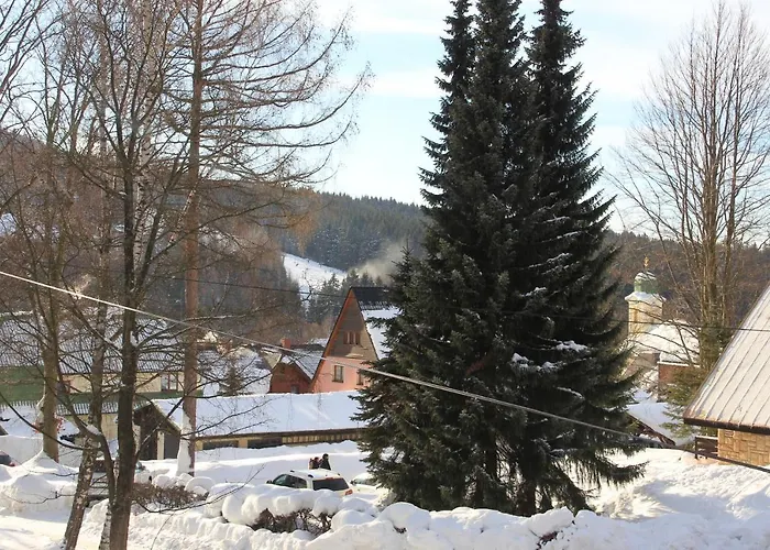 Mamut Harrachov
