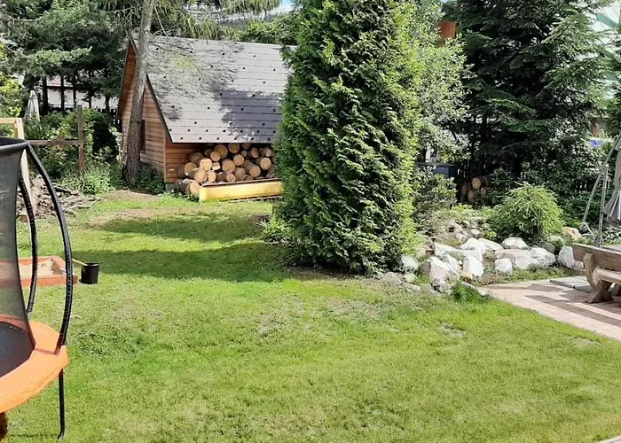 Mamut Harrachov